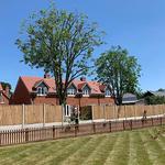 Hertfordshire Trees - photo 6