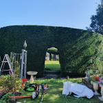 Treecology Arboriculture - photo 2