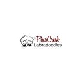 Poco Creek Labradoodles - Local Services in Riverside