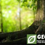 Georgia Tree Solutions Group, LLC - photo 3