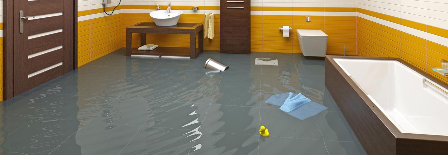 Flood Damage Restoration Paddington cover photo