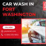 Yes Detail - photo 1