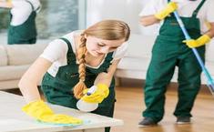 Alligator Cleaning - Home Cleaning
