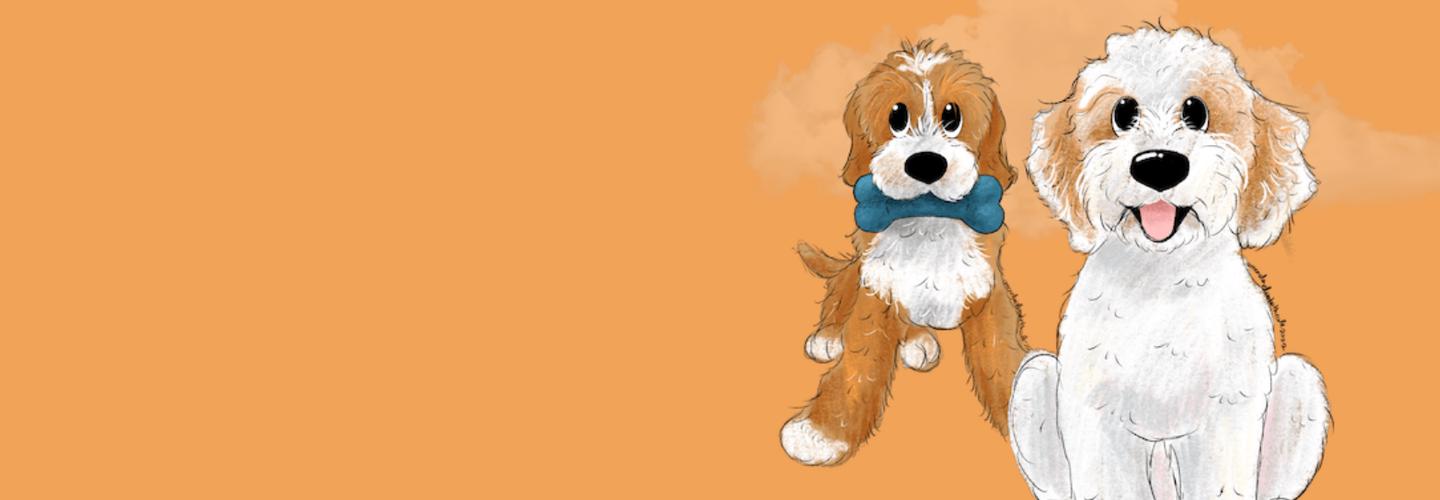 Washington State's Top Breeder of Miniature Multi-Generational Australian Labradoodles cover photo