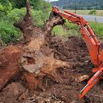 Backyard Potential LLC - photo 1