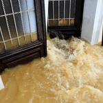 Flood Damage Restoration Ryde - photo 4