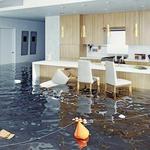 Flood Damage Restoration Ryde - photo 7