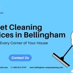 carpetcleaning - photo 1