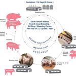 Animal Biotech Industries - photo 1