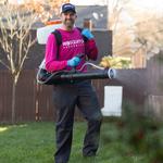 Mosquito Authority Auburn, AL - photo 2