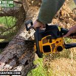 Acadian Tree and Stump Removal Service  - photo 1