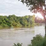 O'Brady's Tree Removal Solutions - photo 2