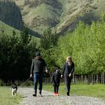 MKM Originals - photo 2