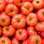 The Gardener - photo 1