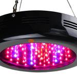 The Gardener - photo 5