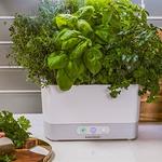 The Gardener - photo 8