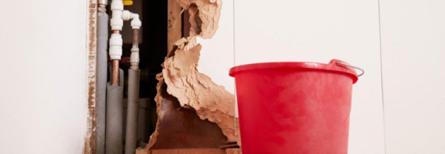 Cuyahoga County Water Damage Experts cover photo