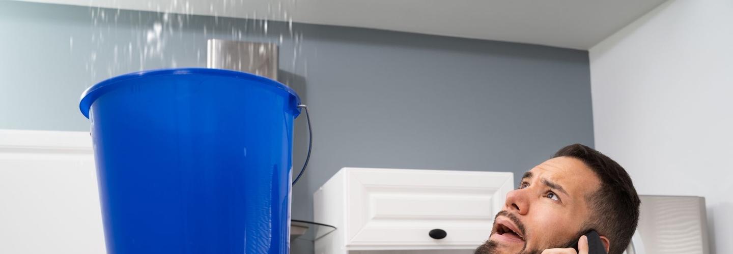 Buck City Water Damage Repair cover photo