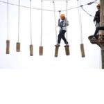 Hellerick's Family Farm - photo 9