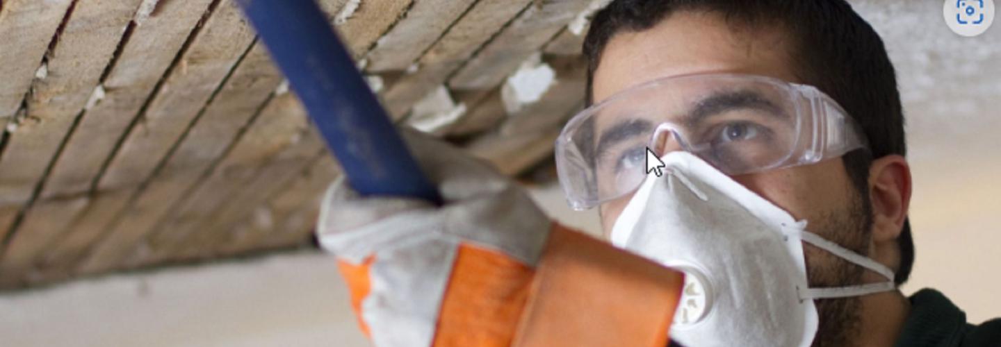 Big Pineapple Remediation Pros cover photo