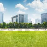 Lauren Adams Landscape Architect - photo 1