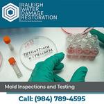 Raleigh Water Damage Restoration - photo 3