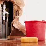 University Heights Water Damage Repair - photo 1