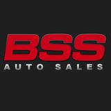 BSS AUTO SALES INC