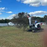 Stump Pros Forestry and Land - photo 2