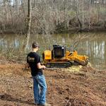 Stump Pros Forestry and Land - photo 6