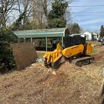 Stump Pros Forestry and Land - photo 7