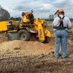 Stump Pros Forestry and Land - photo 8