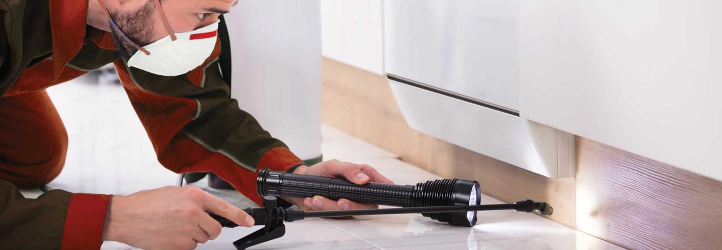 Breland Pest Control cover photo