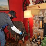Sure Shot Pest Management - photo 2