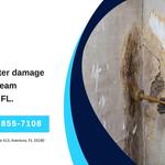 Aventura Mold Cleanup Service Corp - photo 1