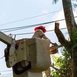 Hickory Town Tree Service - Tree Services in Hanover