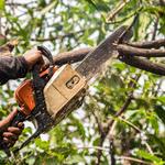 Hickory Town Tree Service - photo 3