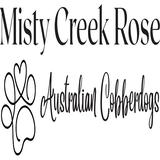 Misty Creek Rose Australian Cobberdogs - Pet Services in Murwillumbah
