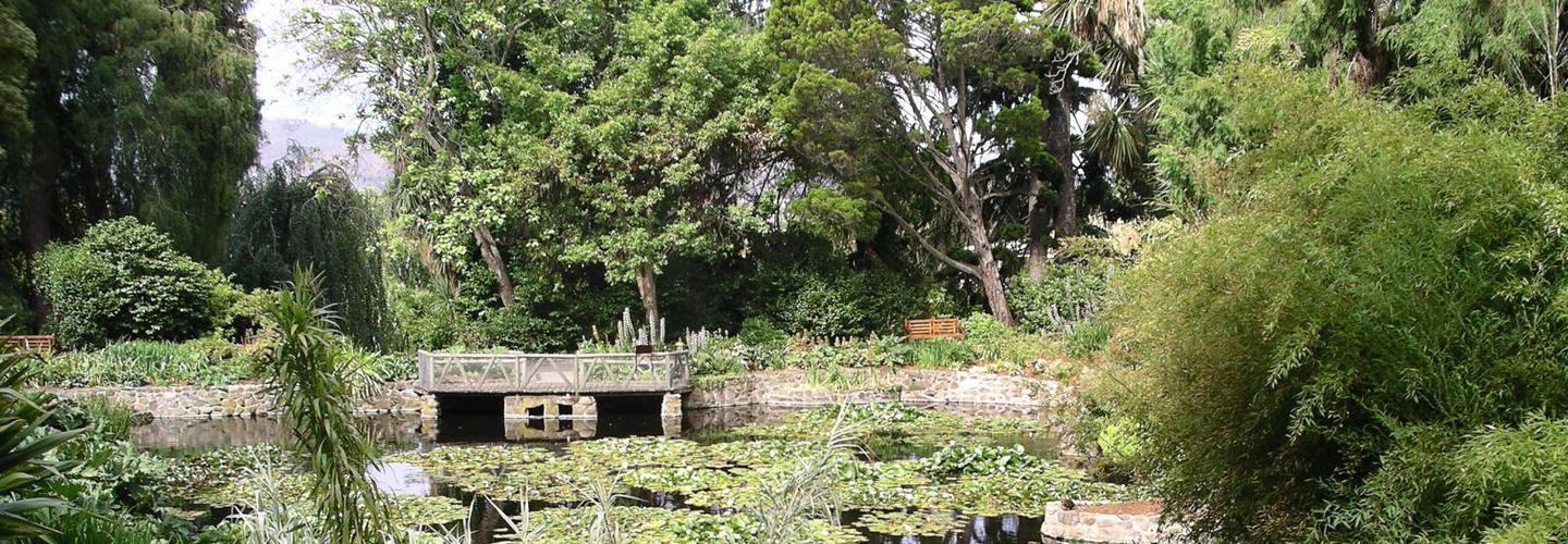 Tai Chi Academy cover photo