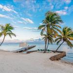 RE/MAX Belize - photo 3