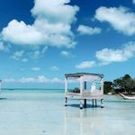 RE/MAX Belize - photo 6