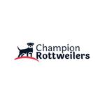 Champion Rottweilers - Pet/Animal Breeders in York