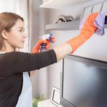 Eastern Suburbs Cleaners - photo 6