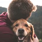 Sit Means Sit Cibolo Dog Training - photo 1