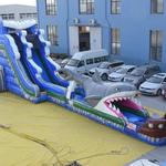 Corpus Christi Party Rentals - photo 3