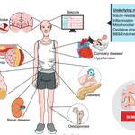 Regenerative Medicine Of Raynham LLC - photo 10