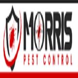 Morris Bee Removal Perth - Home Services in Perth