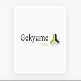 The Gekyume Group, LLC - Professional Services in New Orleans