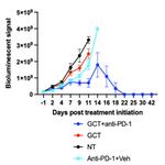 Global Cancer Technology - photo 2