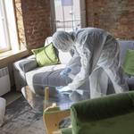 Yes-Débarras & Nettoyages des Maisons appartements encombrants caves greniers - photo 7